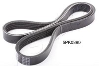 Ashika 112-5PK890 V-Rippenriemen FüR Hyundai, Toyota