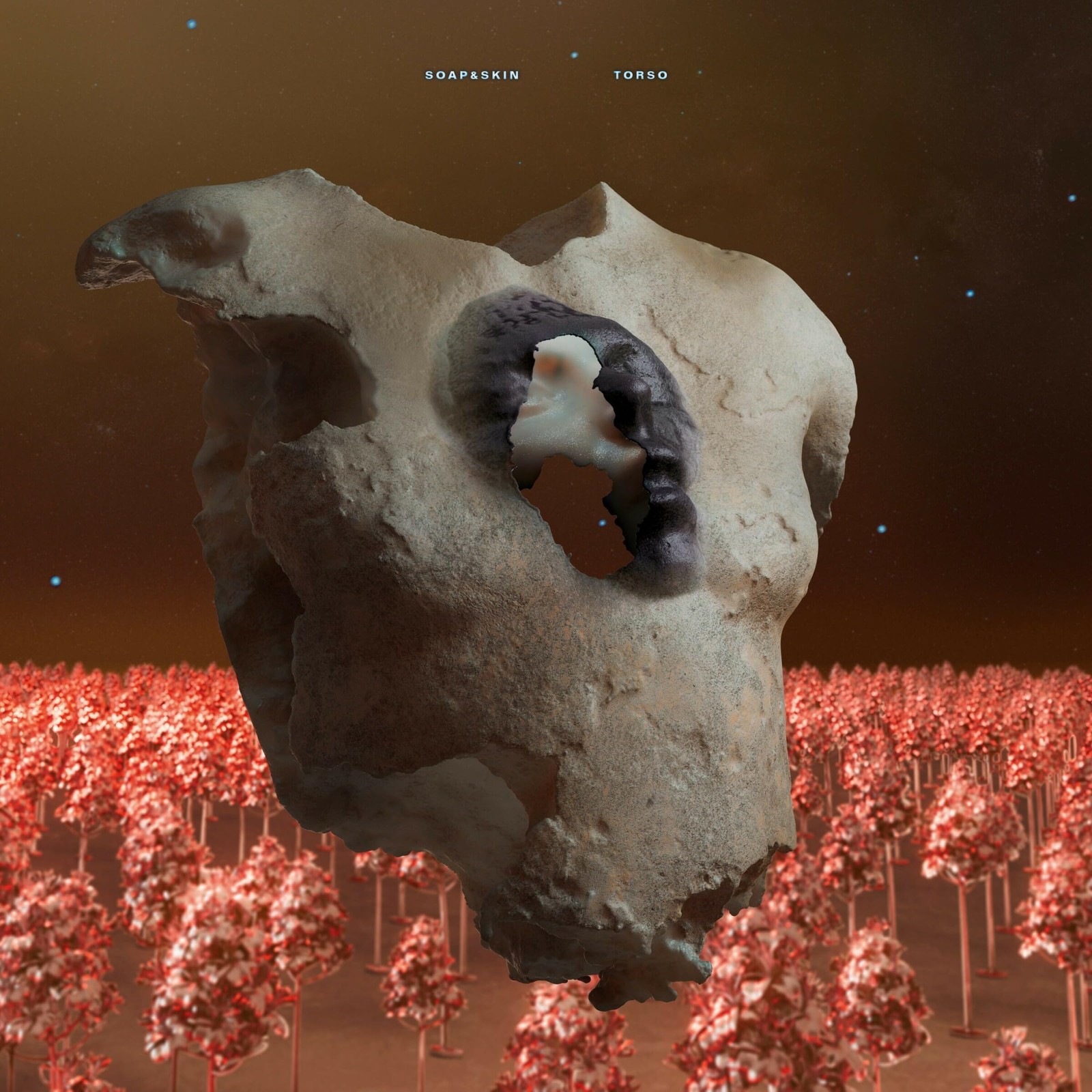 Soap and Skin Torso CD NEW