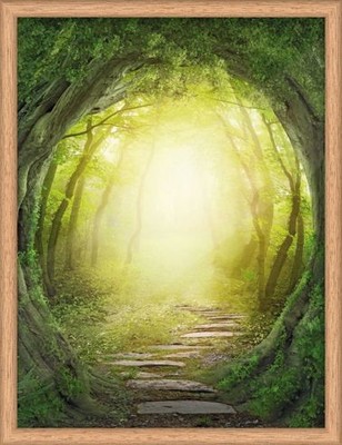 Kunststoff Bilderrahmen Design Frames eiche 18 x 24 cm  Bilderrahmen