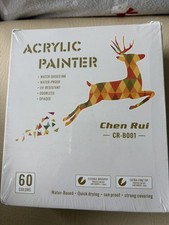 Acrylic Paint Pens 60 Colours Dual Tip Set Chen Rui New Sealed Art Markers