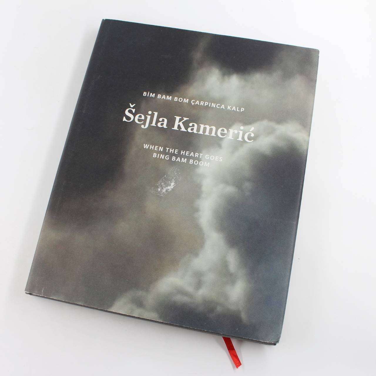 When the Heart Goes Bing Bam Boom book by Sejla Kameric