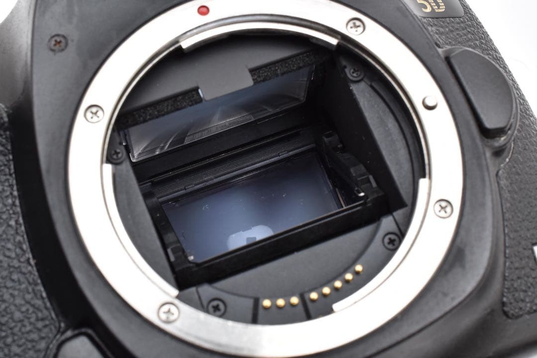 Canon EOS 5D Mark III DSLR Camera with EF 75-300mm and 35-80mm
