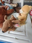 Two TY Beanie Babies Weenie And Hope New With Tag Protector Vintage