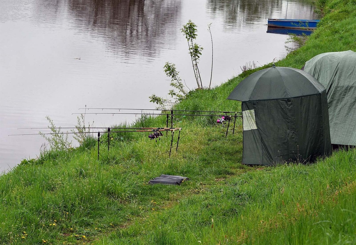 Parapluie De Pêche Avec Auvent 250cm, Fenêtre Et Paroi Latérale - WilTec Neuf
