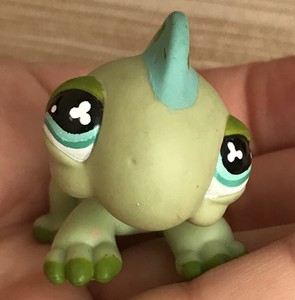 lizard pet shop