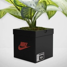 Sneakers Box Planter Pot 3D Printed - Sneaker...