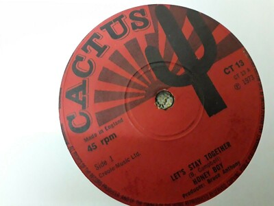 Honey Boy , Let's Stay Together , I'm A Loser , 7'' Cactus