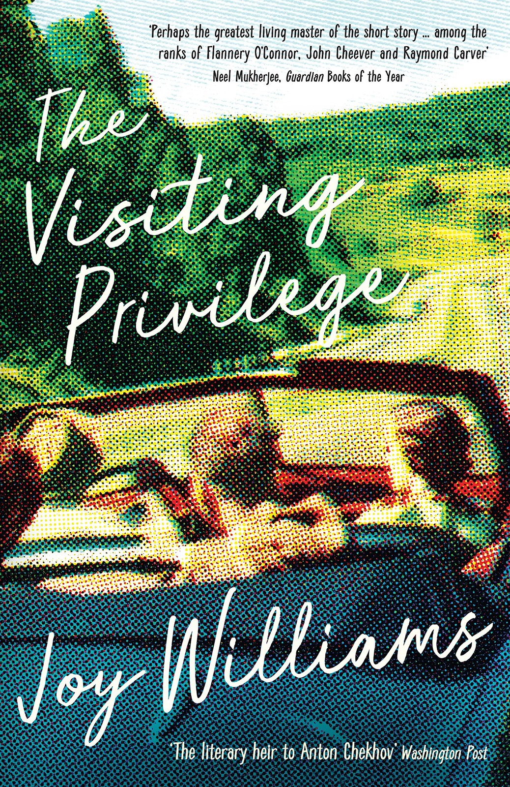 The Visiting Privilege by Joy Williams PAPERBACK - Image 4