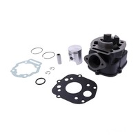 Zylindersatz Standard Grauguss FüR Derbi Senda 50 R DRD X-Treme Bj. 2012-2013