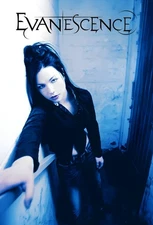 11.69x16.54 Evanescence Band Amy Lee Poster Fallen Photography HD