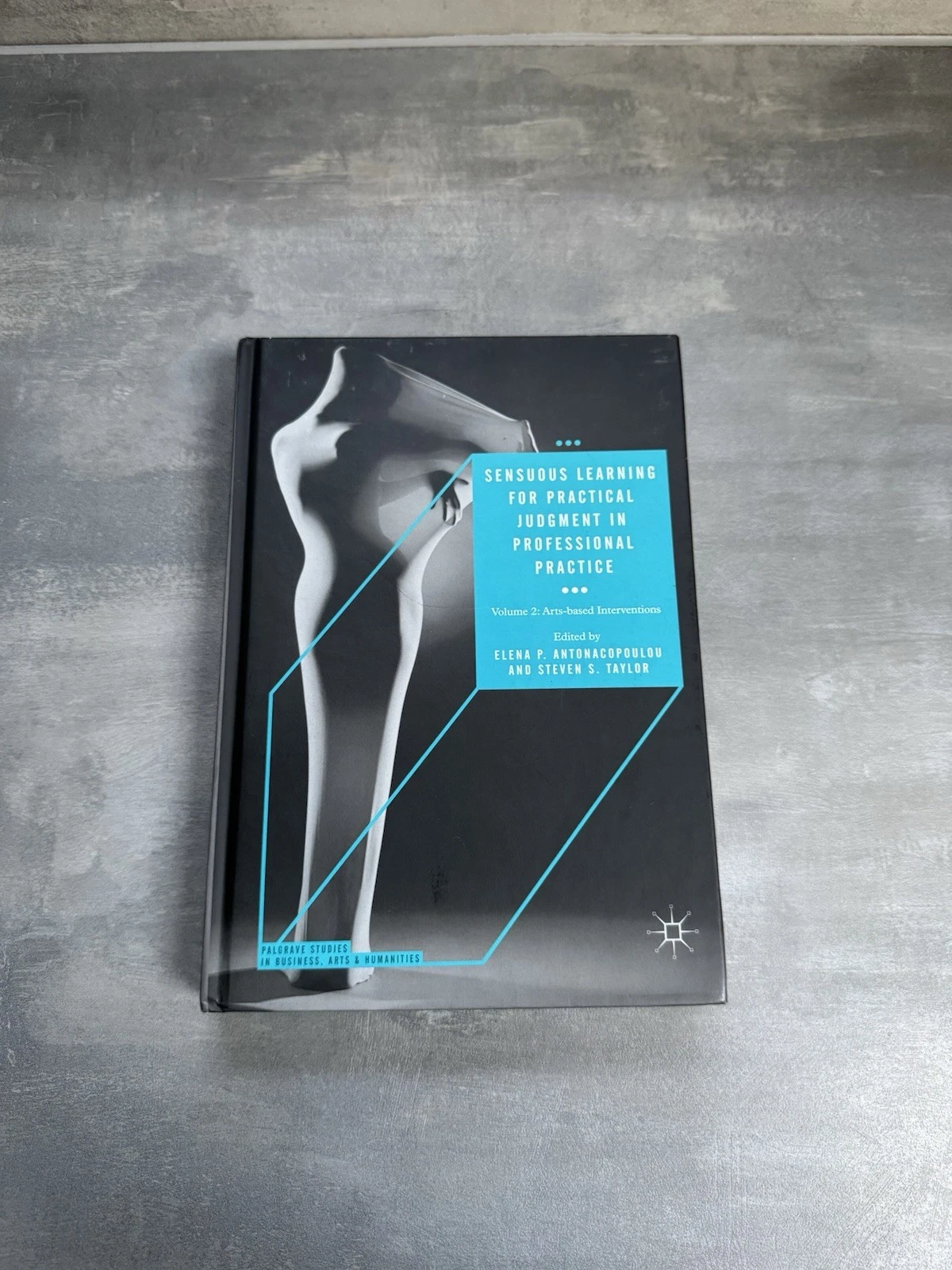 Sensuous Learning for Practical Judgment in Professional Practice Volume 2
