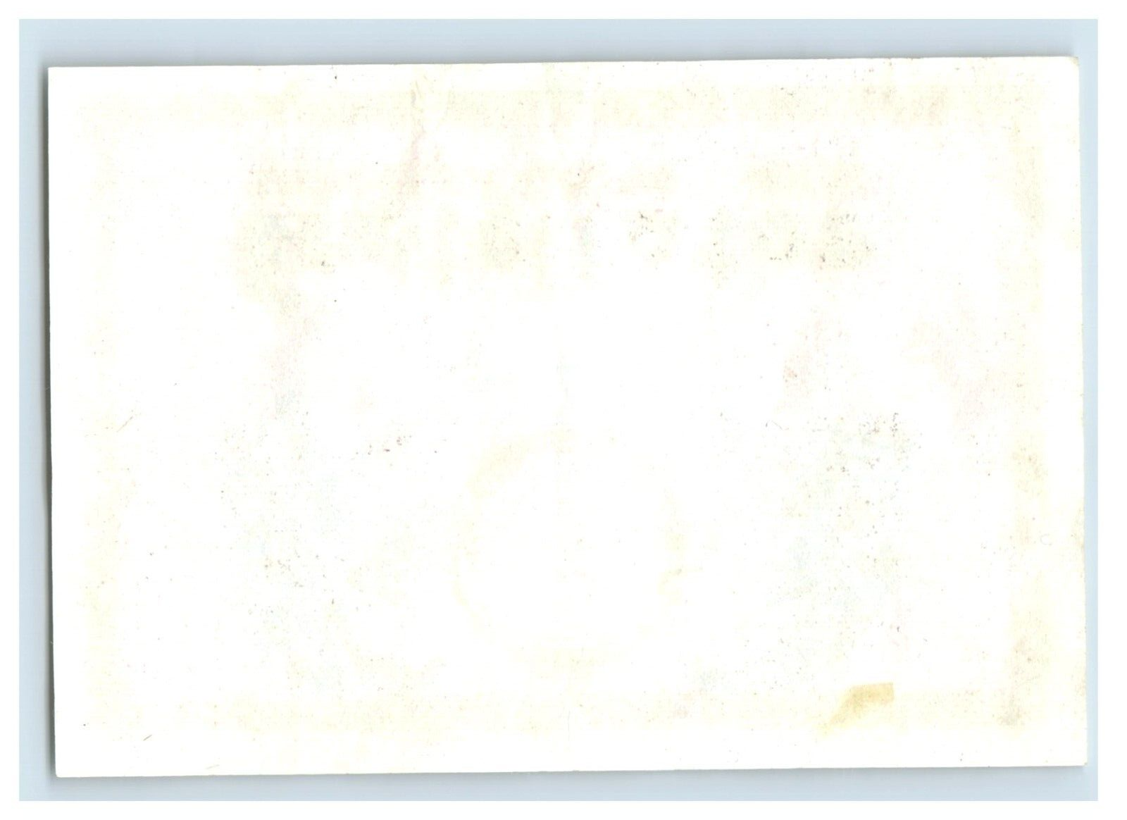 Vintage Schlossquell Castlelator 2 German Beer Label Original S41E eBay