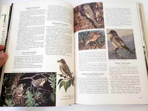 1964 National Geographic Society Song And Garden Birds Or North America Book - Picture 10 of 12