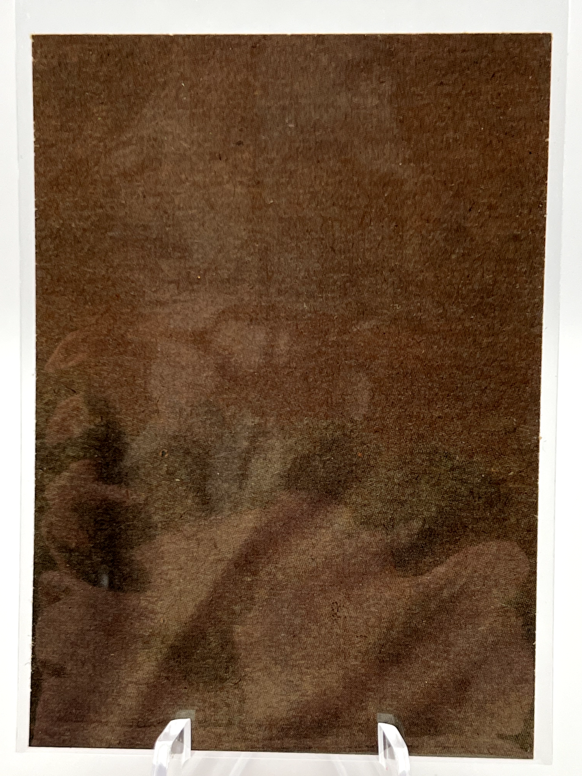 Picture 39 of 100