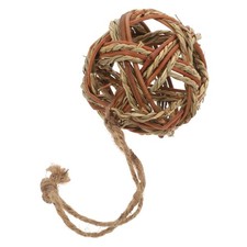  Giocattoli Cincillà Porcellino D'india Giocattolo Cavia Altalena Calopsitta