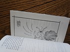 Bild 21 von 21