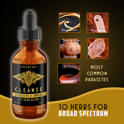 Fungus & Parasite Detox EASY Effective & FAST Cleanse Bugs Worms & More USA DLX