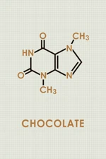 Chocolate Theobromine Molecule Science Grid Funny Poster 12x18