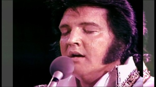 ELVIS PRESLEY - Ultimate 1977. (concerts) DVDs x4 - Afbeelding 9 van 18