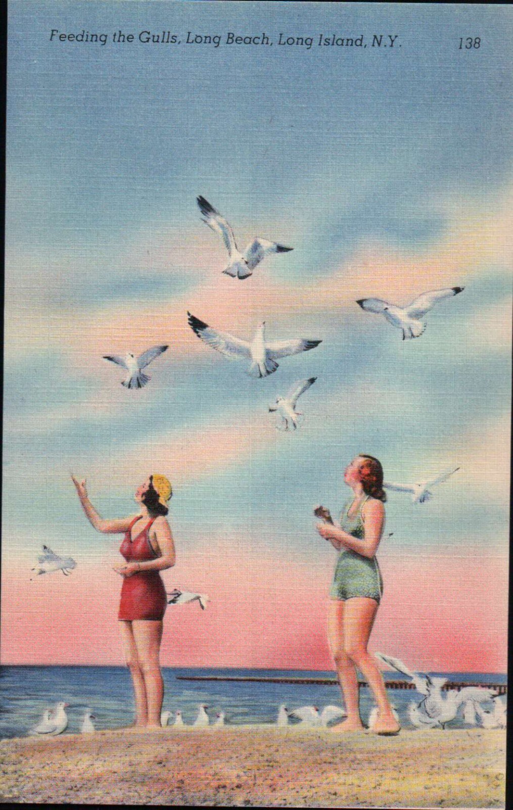 Feeding the Gulls Long Island New York NY -- Old Vintage Standard Linen Postcard