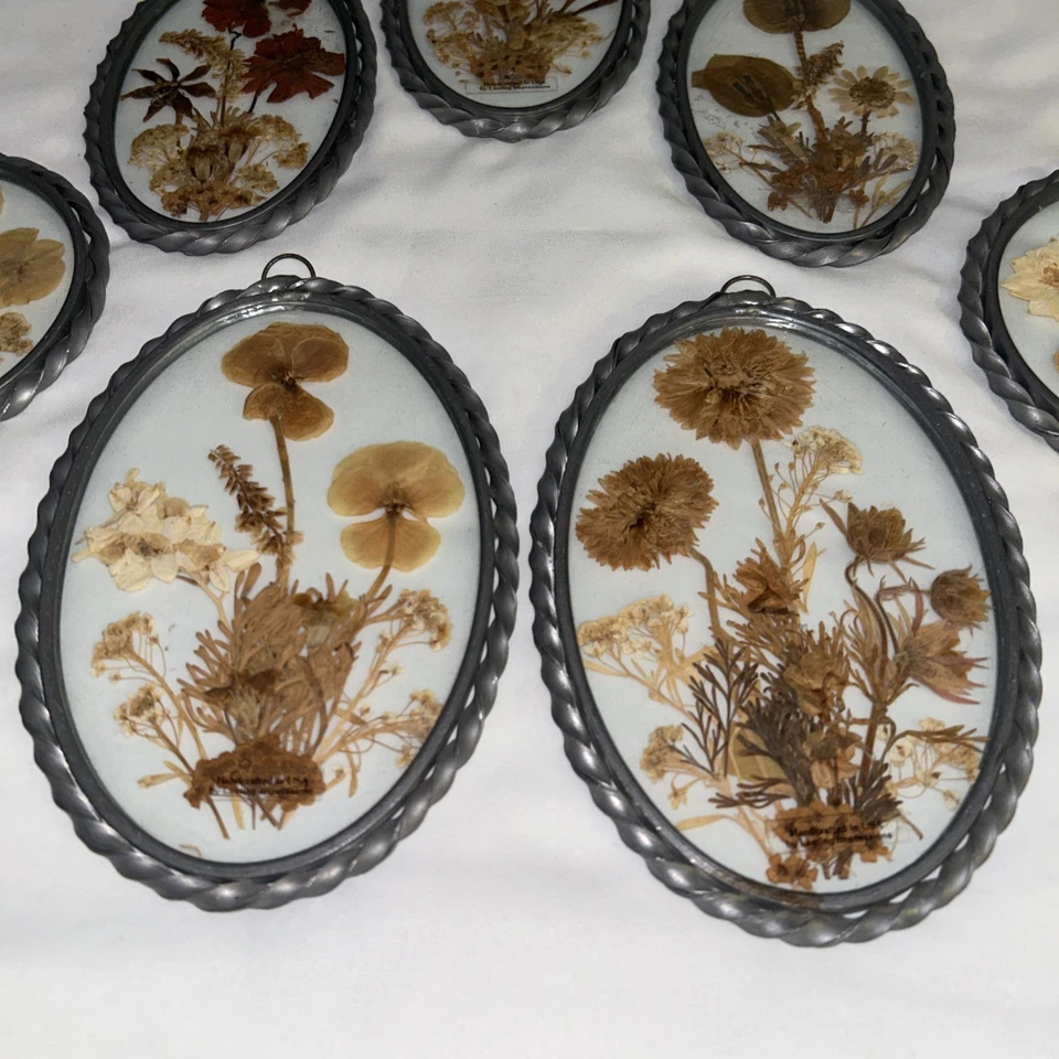 持久印象复古干压花锡框窗户集光器 — 第 2/4 张图片