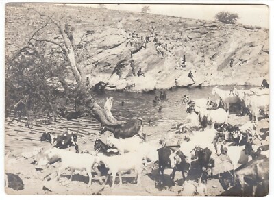 Africa DSW Namibia Herero Jungen Schutztruppe Foto13x18cm Deutsche Kolonien 1905