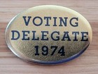 1974 Voting Delegate Gold Shimmer Political Campaign Pinback Button Badge — photo 2