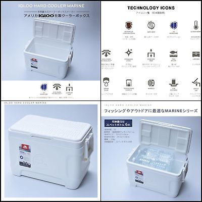 igloo marine cooler