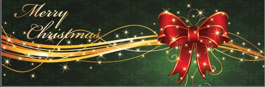 BANNERMAN | Personalised Christmas Outdoor Waterproof /Celebration Party Banners — 第 2/4 张图片