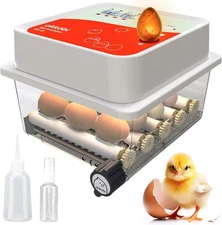 Durable OBI-12 Egg Incubator - Stable Humidity Control, Hatches 36 Eggs - Orange