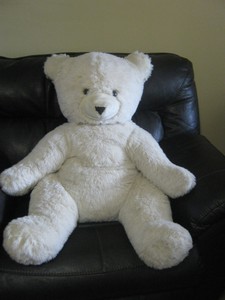 giant teddy bear mexico