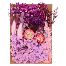 Pressed Flowers Bulk Dried Flowers Natural Pressed Flowers Leaves Light Purple