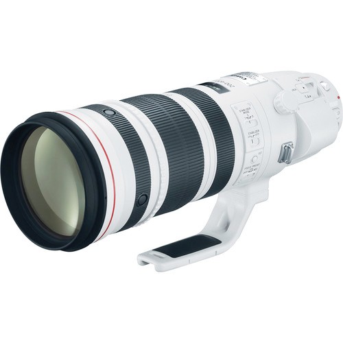 Canon EF 1.4X 200-400mm f/4 IS USM Lens for sale online | eBay