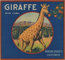 Giraffe Brand VINTAGE Mentone Hts, California Orange Crate Label 1930s Authentic