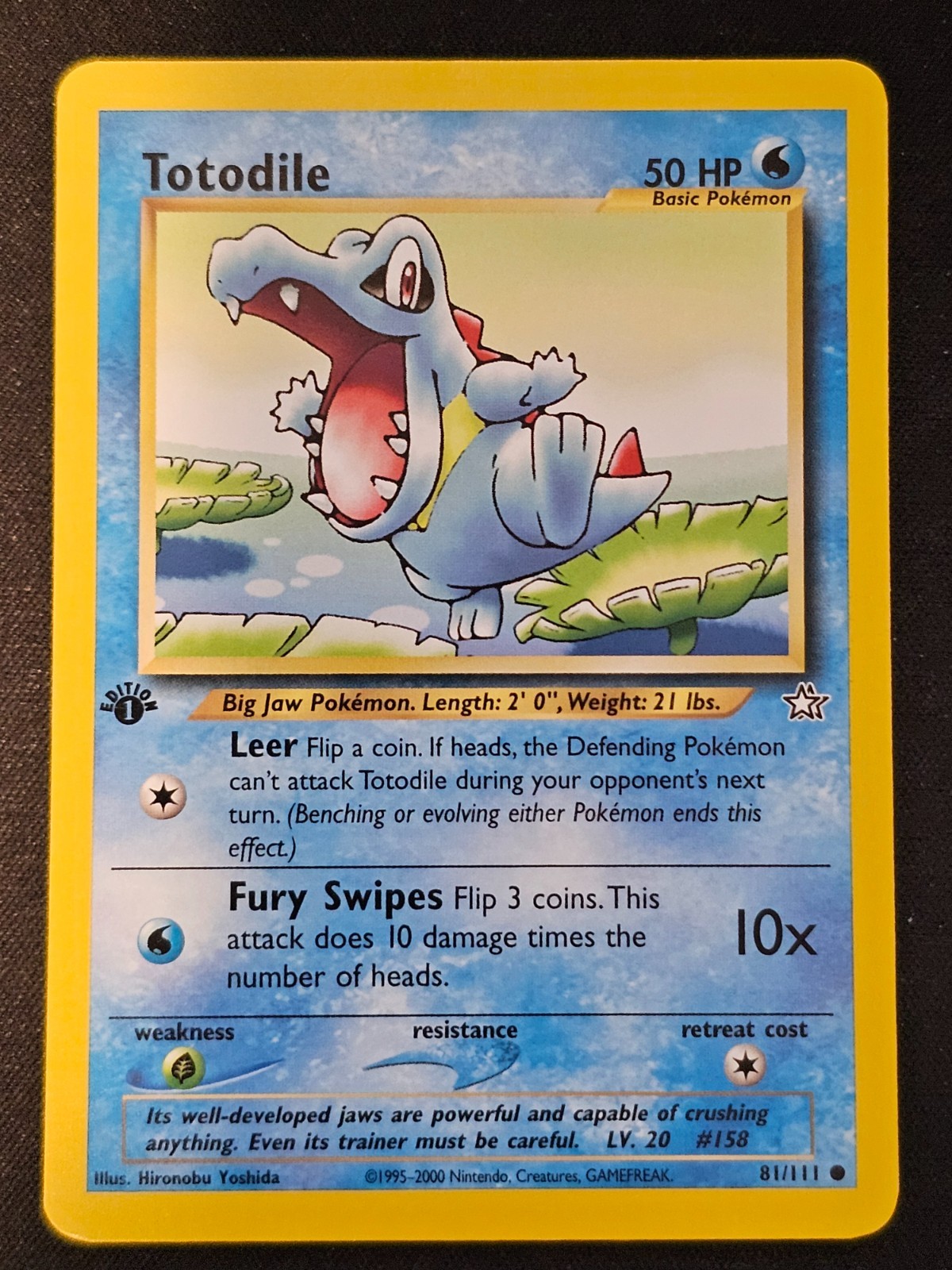 Pokemont TCG Totodile 81 Neo Genesis 1st Edition Mint Near Mint (non-holo)