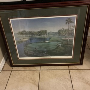 J. Murray Tournament Players Club Stadium Course Florida 16th Hole 271/5000.