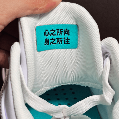 Nike Air Jordan XXXVI 36 Low PF Guo Ailun Women's 11 Silver Jade DM9032-130 Shoe - Picture 14 of 16