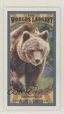 2021 Topps Allen & Ginter's Mini World's Largest Brown Bear #MWL-20 9r7