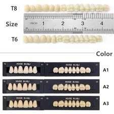 28Pcs Resin Dental Temporary Upper Lower Acrylic Denture Teeth Full Set A1/A2/A3