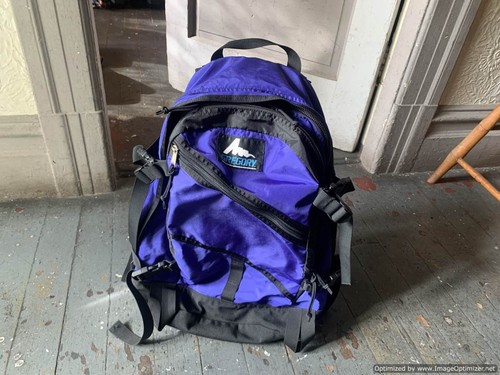 Vintage Gregory Backpack DayPack Made in USA Purple Blue Very Clean