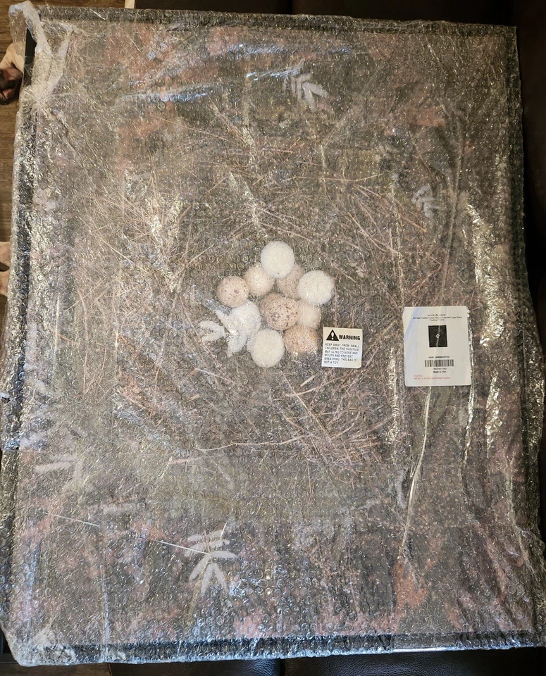 Stupell Industries Bird Nest Wildlife Forest Nature Speckled Eggs Photo 24X30 - Image 3 of 3