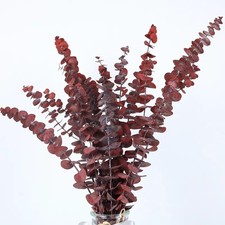 20pcs Dried Red Eucalyptus Stems 17" Natural Fresh Eucalyptus Plant for Shower