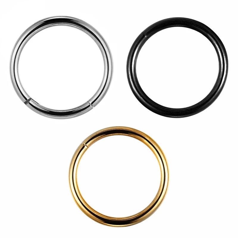 G23 Titanium Hinged Seamless Segment Ring Hoop Nose Ring Earring Labret Septum Foto 4 de 4