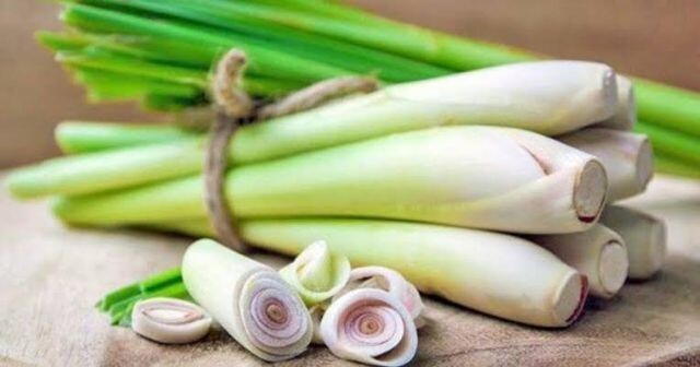100% lemongrass powder, no added sugar, for drinking or cooking.