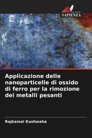Rajkamal Kushwaha | Applicazione Delle Nanoparticelle Di Ossido Di Ferro Per...