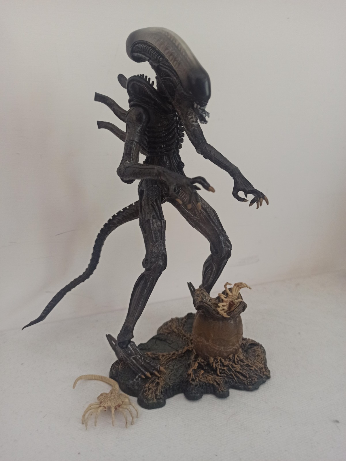 Foto 1 di 7