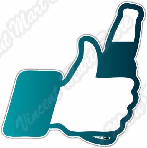 "I Like Beer Social Media Facebook divertente paraurti auto adesivo vinile decalcomania 4""X5" - Foto 1 di 1