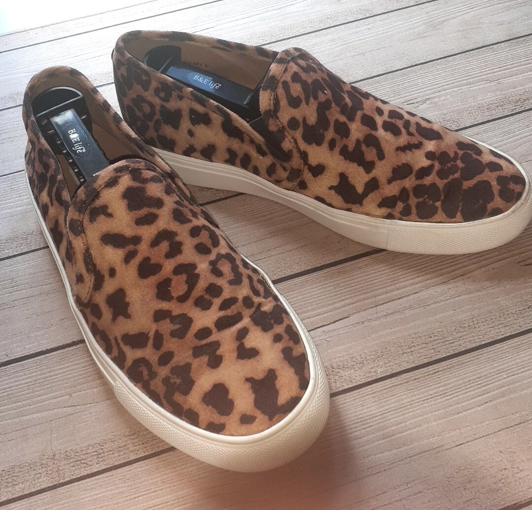 Hotelkalingaashok Steve Madden Frosted Hotel Kalinga Steve Madden