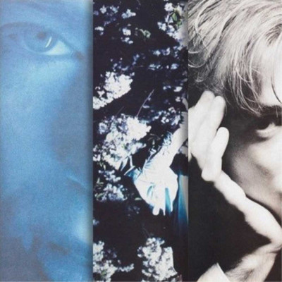 Momus Create I - Procreate (CD) Box Set