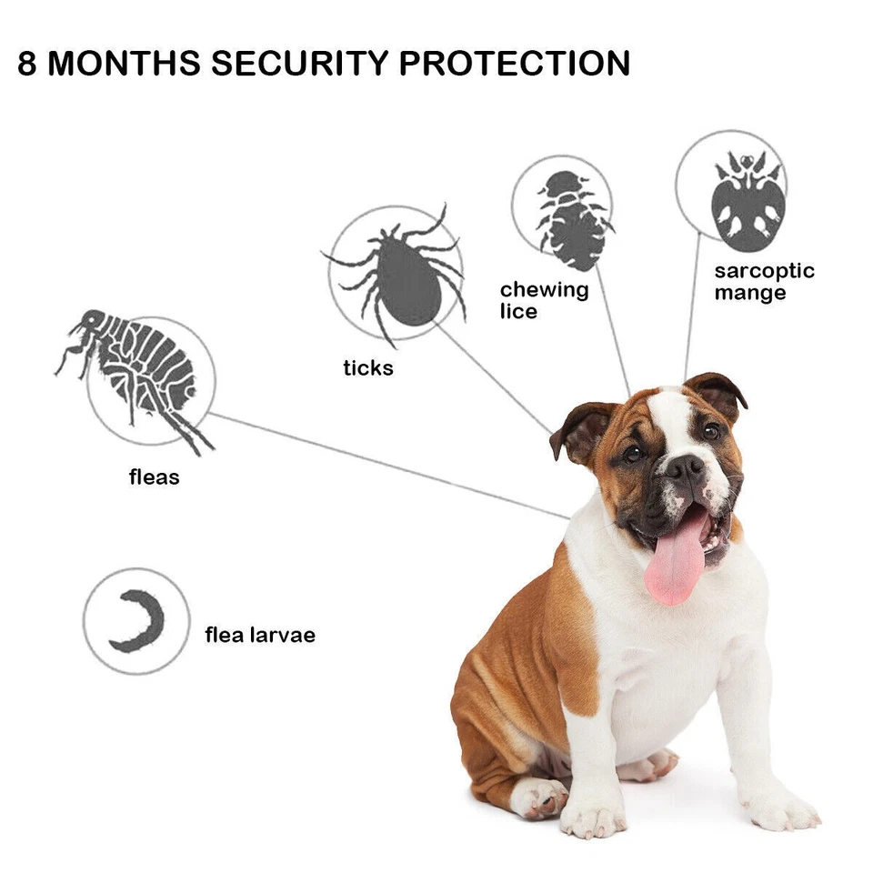 Anti Flea and Tick Neck Collar for Pet Dog Cat Protection Adjustables 8 Months - image 4 of 4